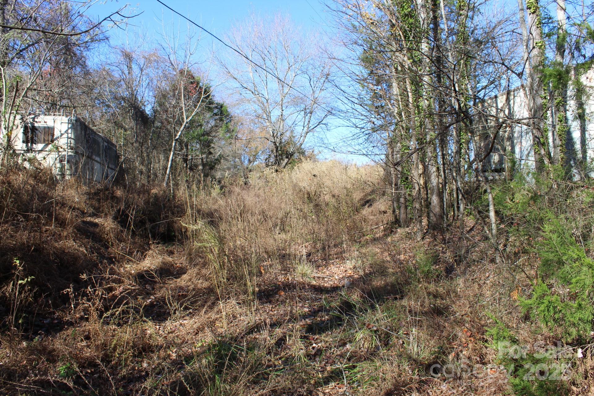 0 Bell Farm Road Statesville, NC 28625 - Photo 10 of 37 a view of a covered with large trees