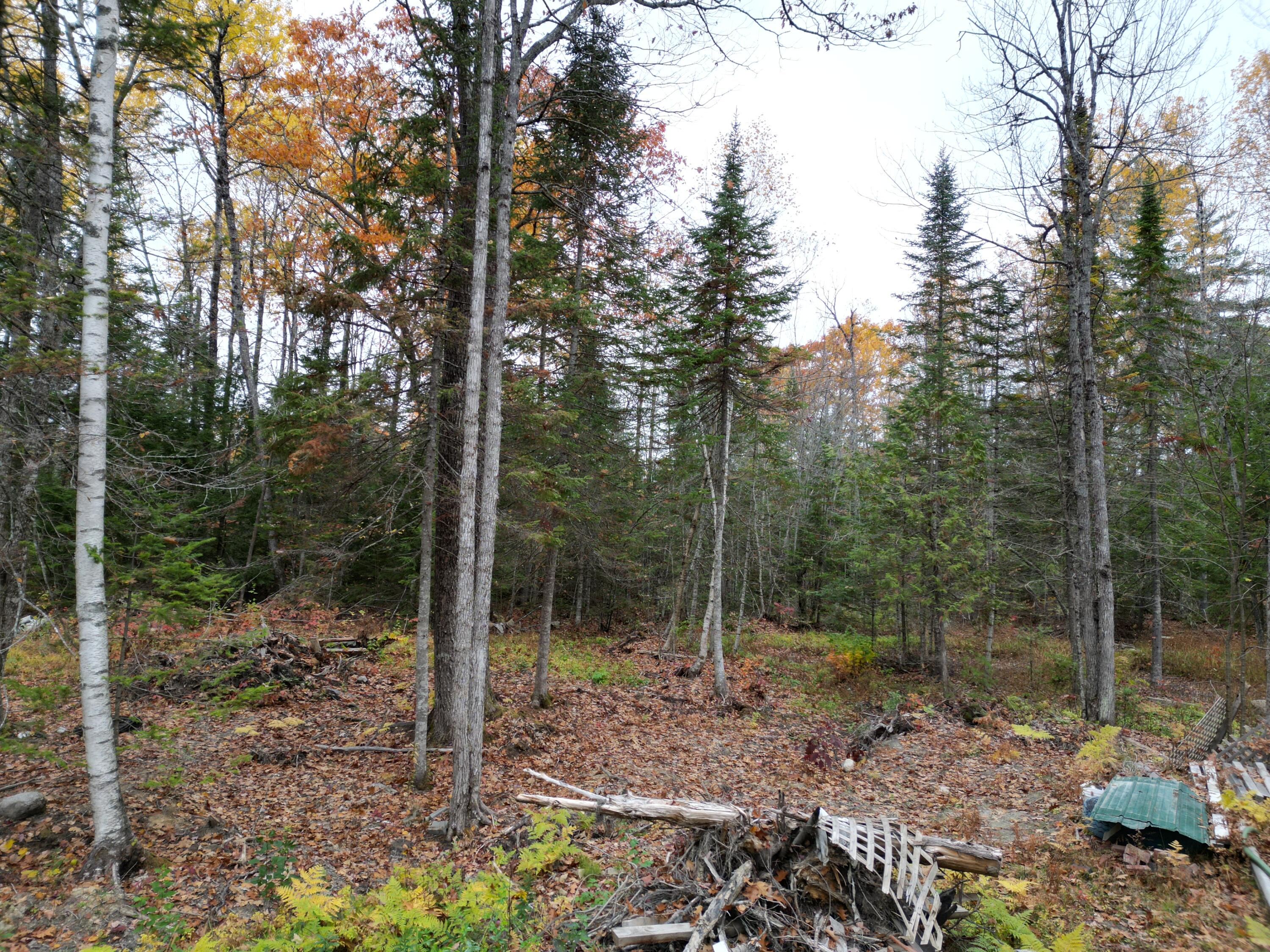 20 Oake Lane Howland, ME 04448 - Photo 6 of 39 DJI_0004