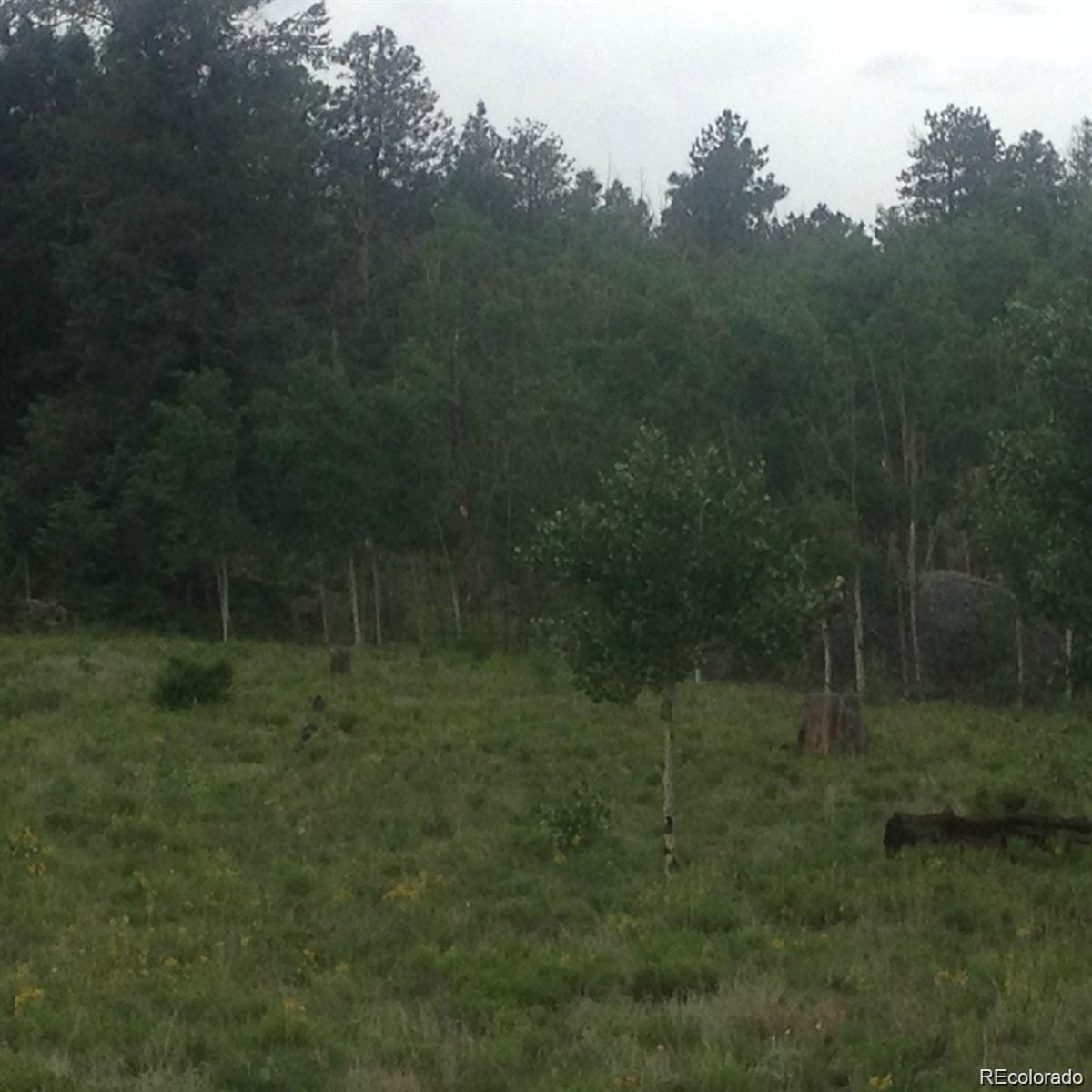 1681 Athapascan Road Hartsel, CO 80449 - Photo 2 of 9 a view of a field