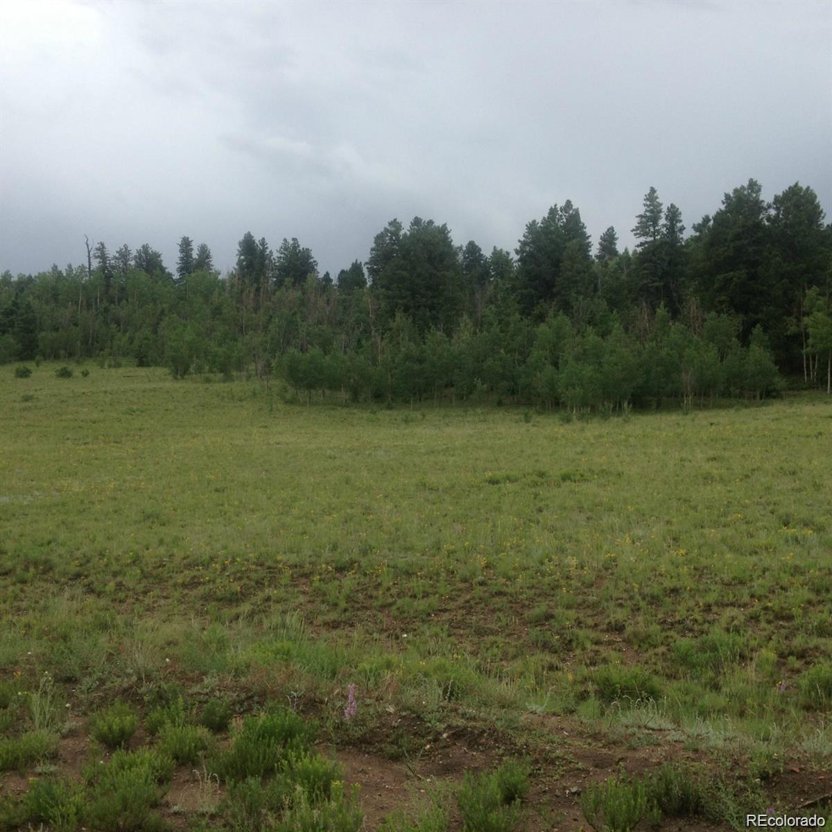 1681 Athapascan Road Hartsel, CO 80449 - Photo 3 of 9 a view of a field with trees in background