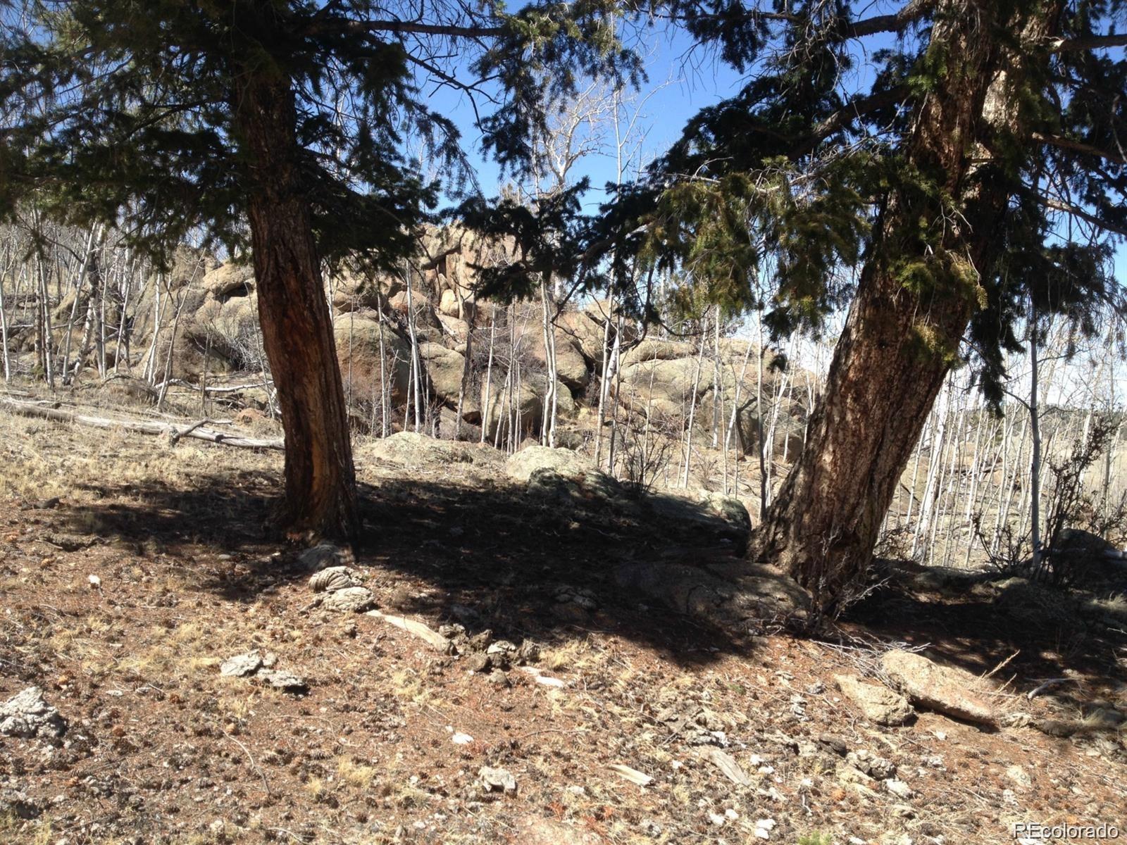 1681 Athapascan Road Hartsel, CO 80449 - Photo 4 of 9 a view of a yard with trees