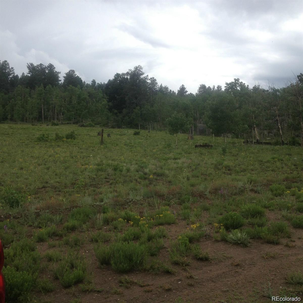 1681 Athapascan Road Hartsel, CO 80449 - Photo 5 of 9 a view of a field with trees in background