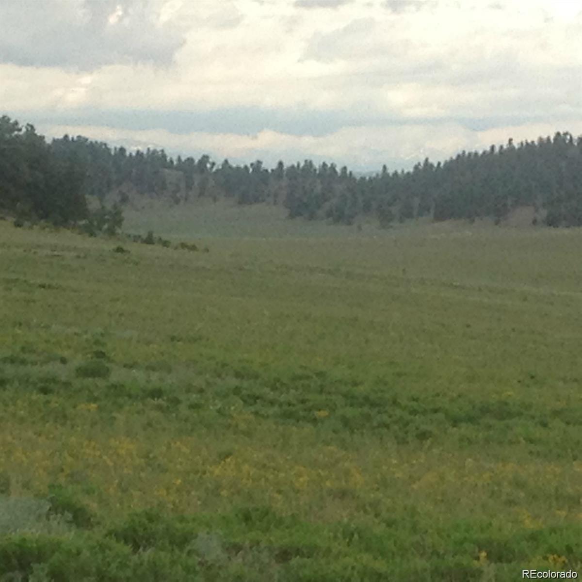 1681 Athapascan Road Hartsel, CO 80449 - Photo 8 of 9 a view of a lake with a mountain