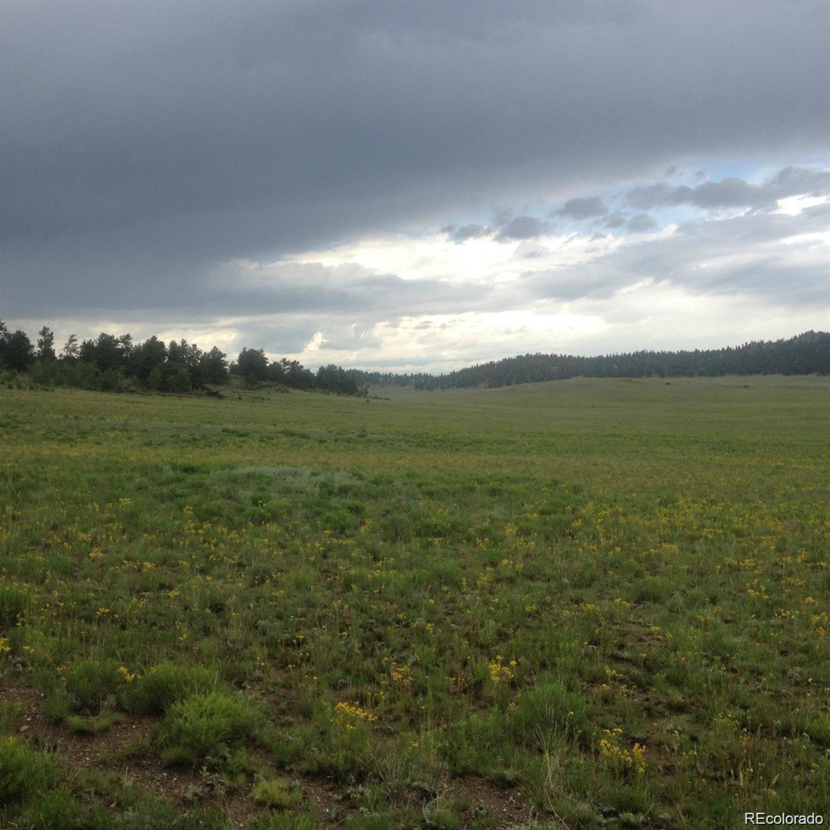 1681 Athapascan Road Hartsel, CO 80449 - Photo 9 of 9 a view of an ocean and beach