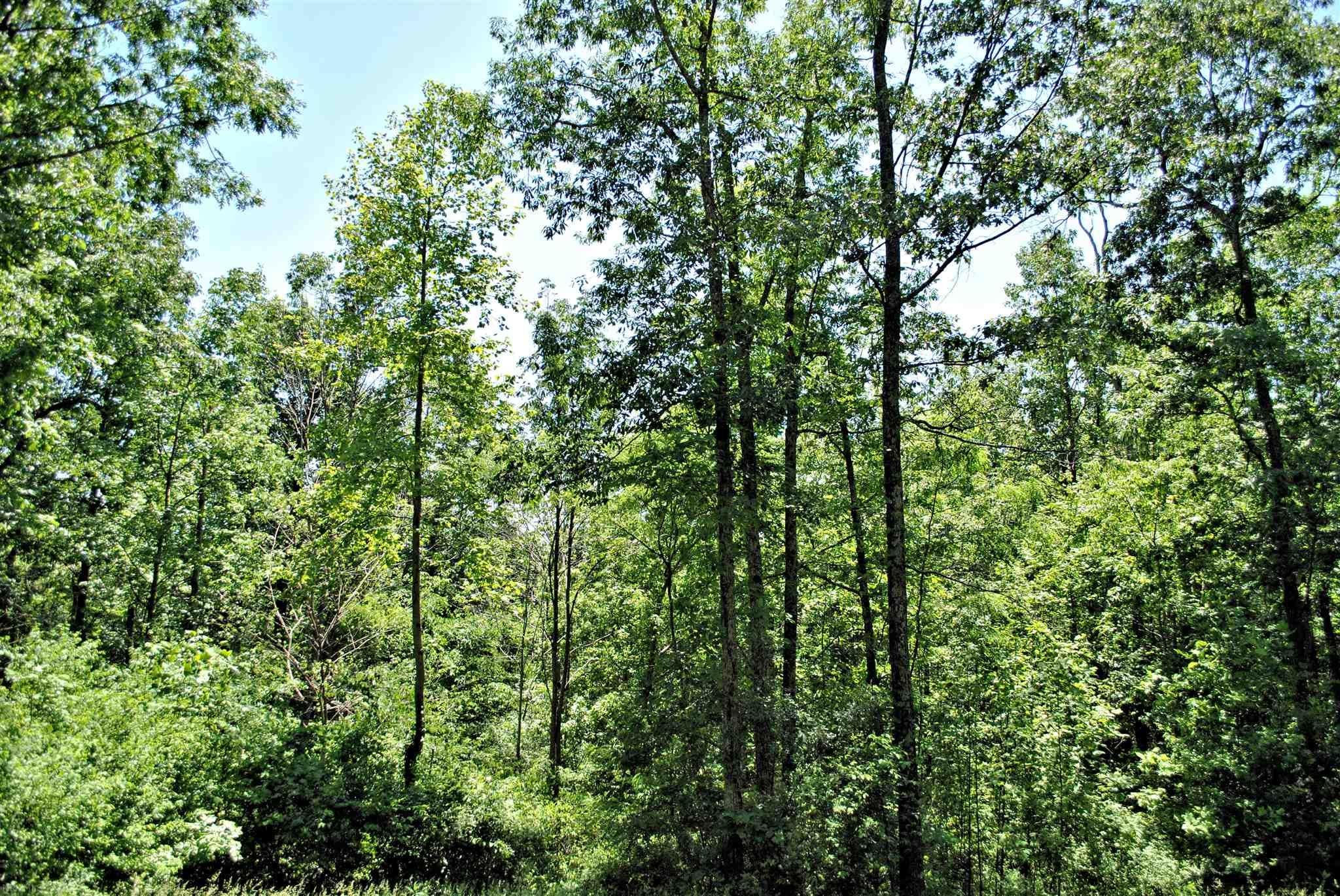 Tbd 6.816-ac Tbd 6.816-ac Hendrickson Road Ripplemead, VA 24150 - Photo 13 of 14 Gallery Image 13