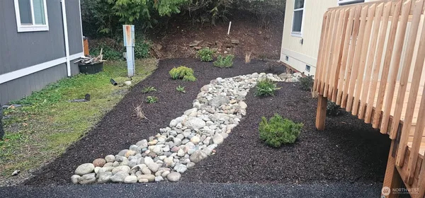 a view of a bunch of flowers