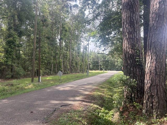 76029 Bob Levy Road Abita Springs, LA 70420 - Photo 21 of 22