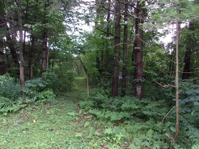 $274,900 | 22495 Boyd, Wilna, NY 13619