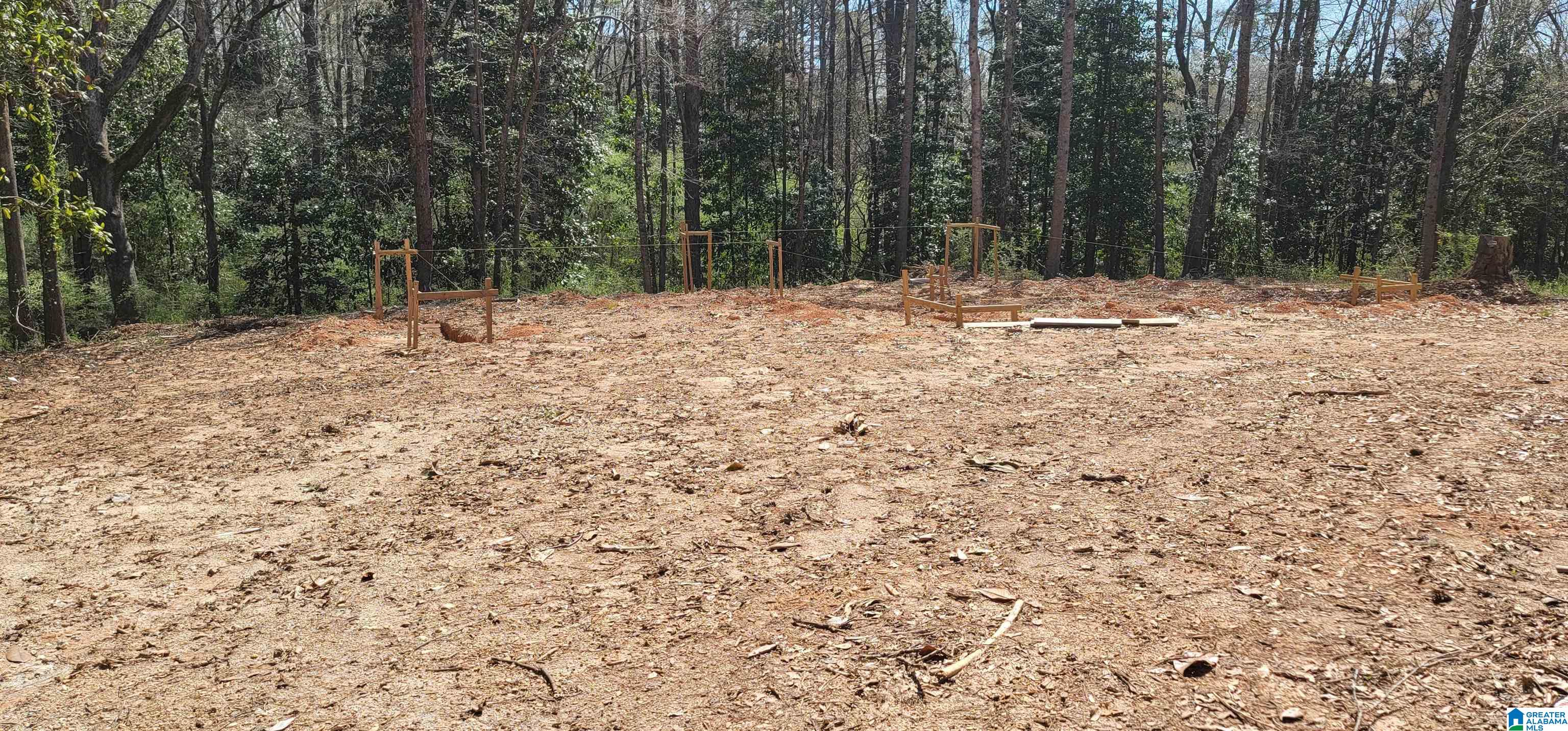 0 Osborne Street, Unit 3 ACRES Heflin, AL 36264 - Photo 8 of 11