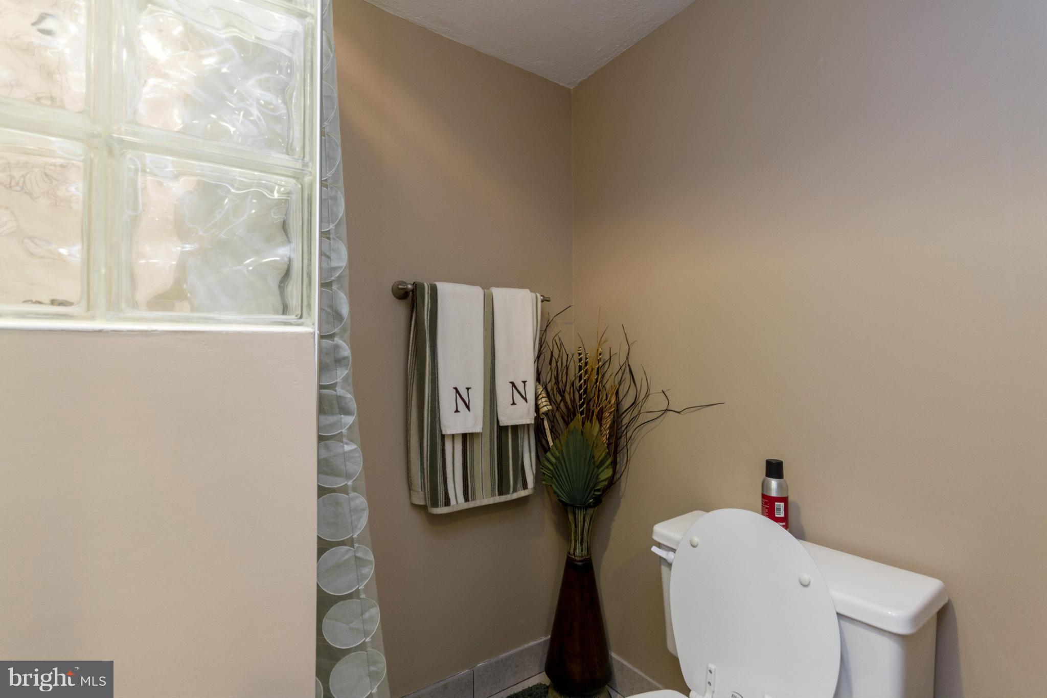 8357 Bark Tree Court Springfield, VA 22153 - Photo 16 of 30 Basement Full Bath