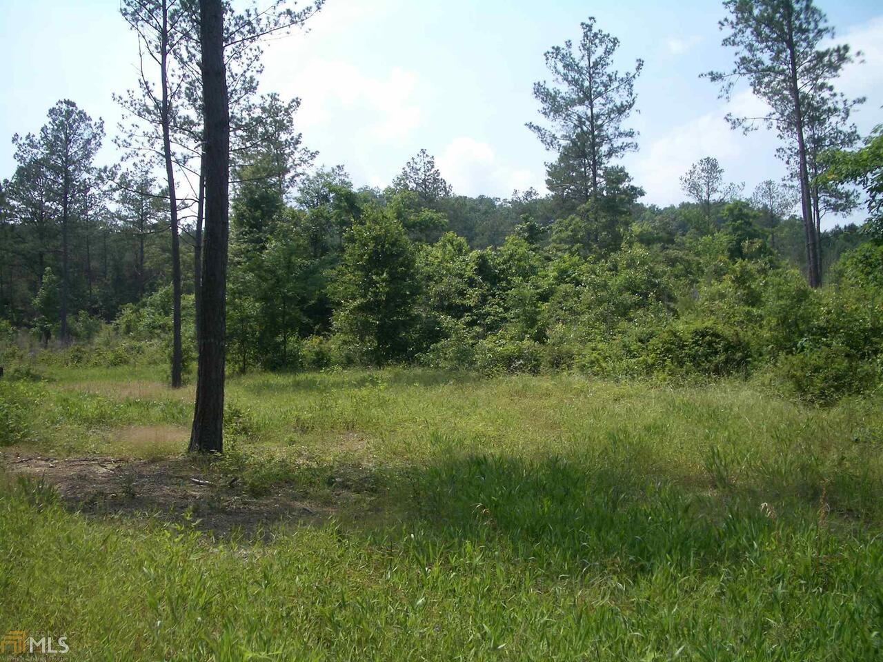 0 Norton Road, Unit 95307 Kingston, GA 30145 - Photo 1 of 1