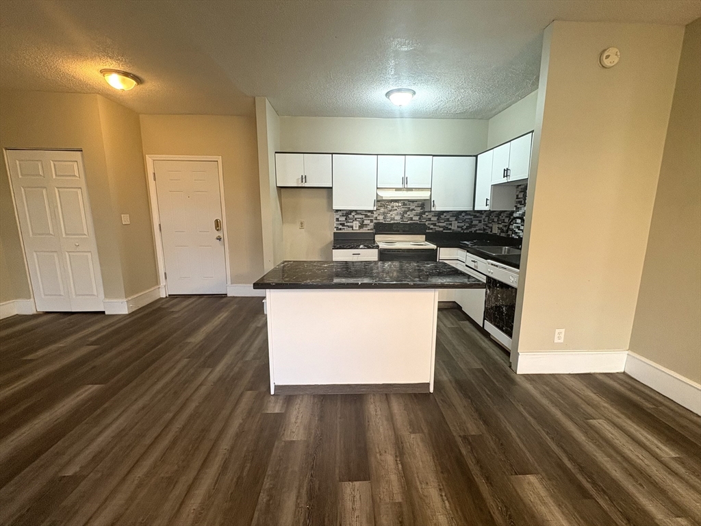 140 Chestnut Street, Unit 204 Springfield, MA 01103 - Photo 3 of 15 a kitchen with a sink and stove top oven