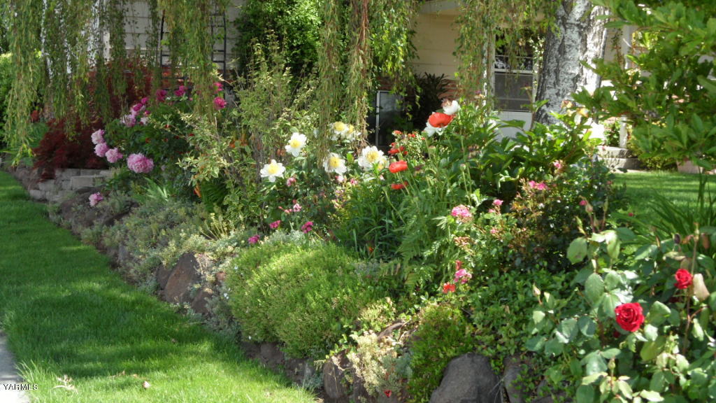 211 East Duffield Road Moxee, WA 98936 - Photo 25 of 34 a view of flowers in bunch