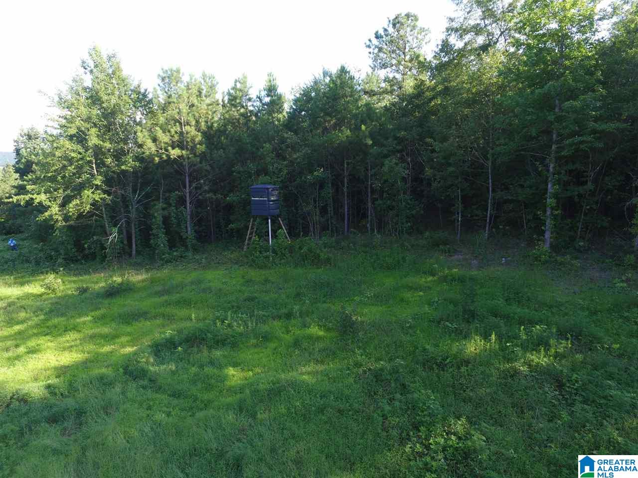 0 Carnes Chapel Road, Unit 113 Gallant, AL 35972 - Photo 24 of 32