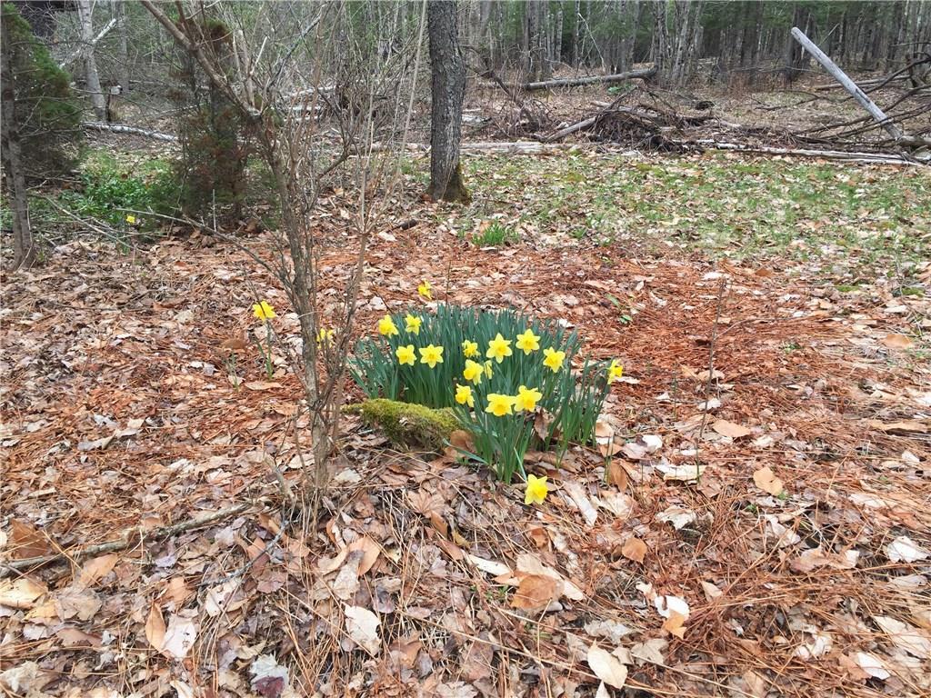 75 Bert Berry Road Embden, ME 04958 - Photo 28 of 35 Photo