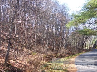 1018 Healing Springs Road East Crumpler, NC 28617 - Photo 1 of 1 Gallery Image 1