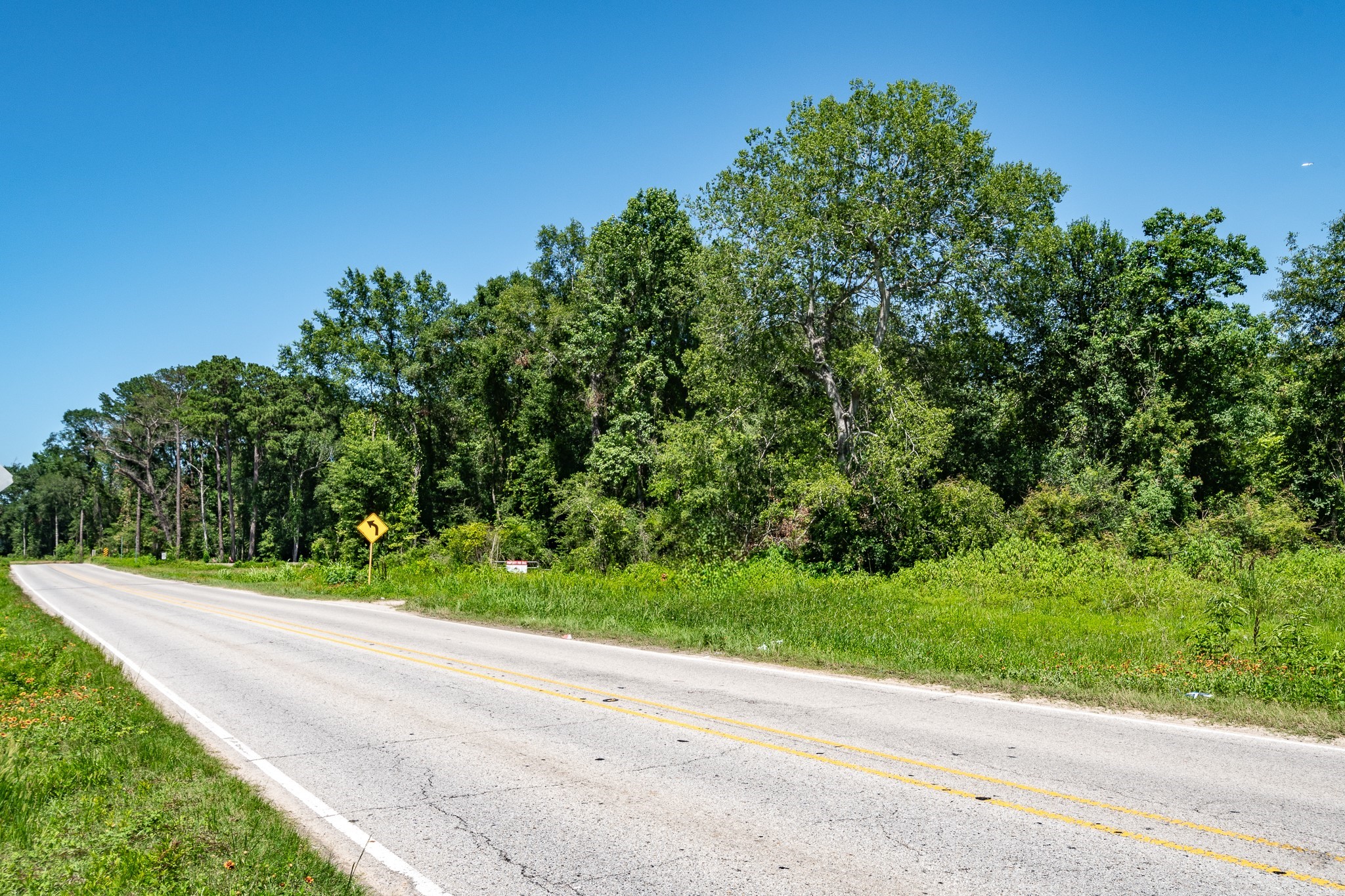 24055 Sorters Road Porter, TX 77365 - Photo 4 of 5