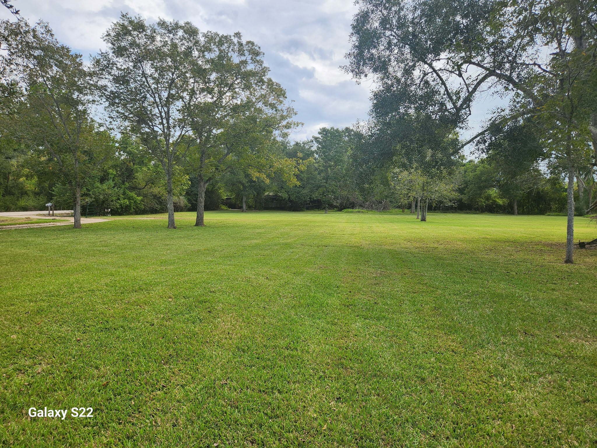 a view of outdoor space and yard