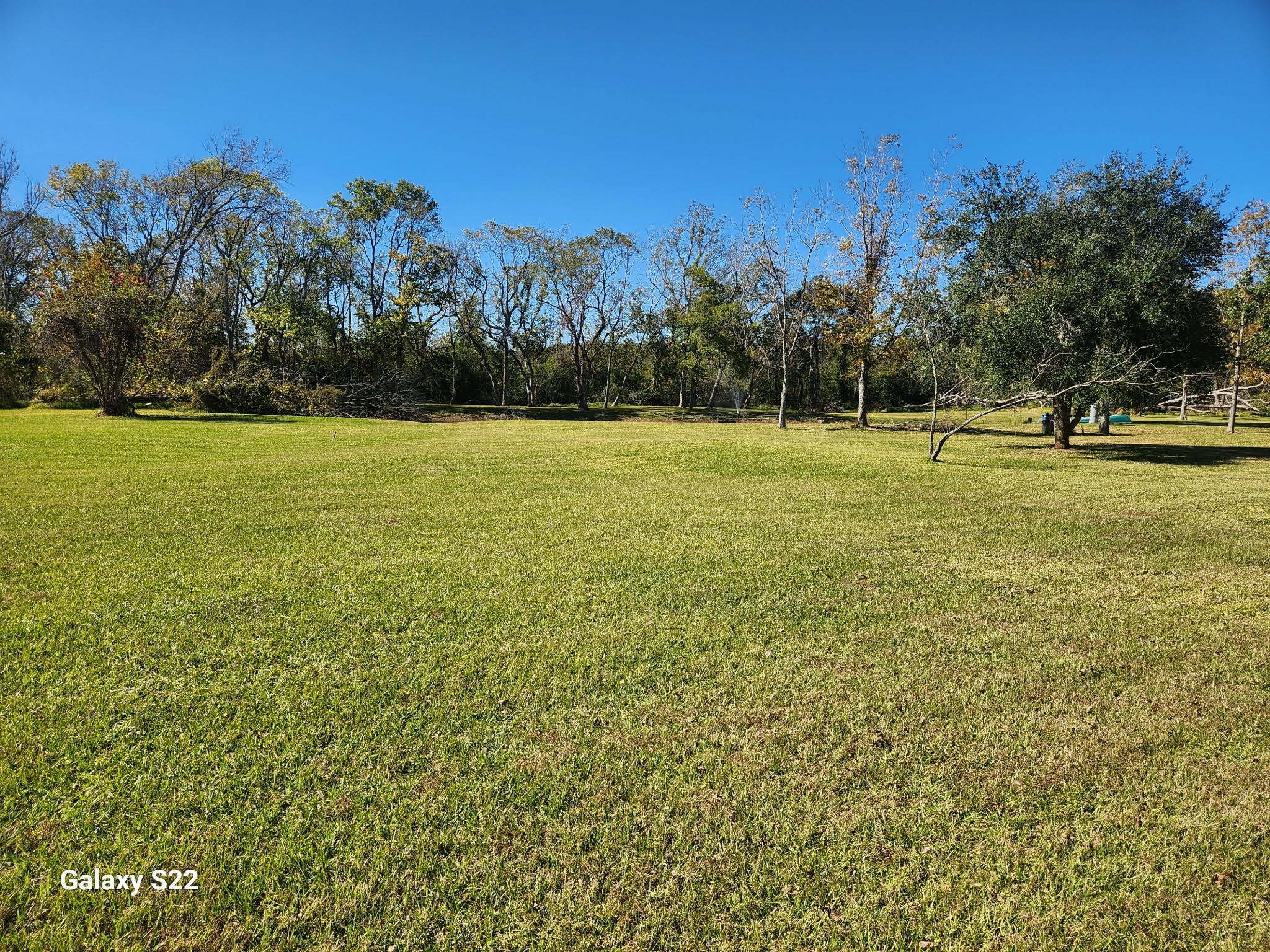 0 County Road 526 Rosharon, TX 77583 - Photo 3 of 7 a view of a yard with an trees