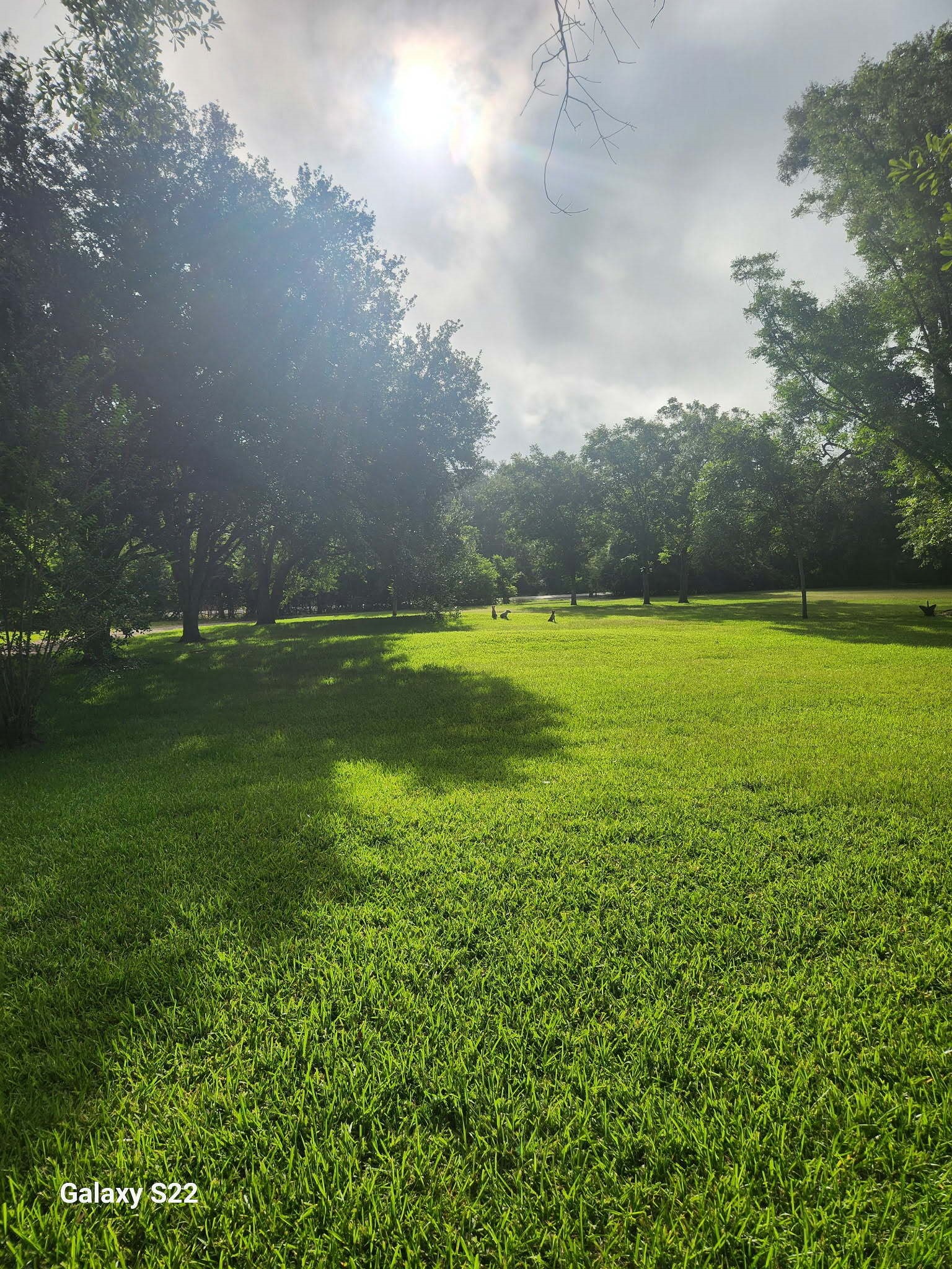 0 County Road 526 Rosharon, TX 77583 - Photo 5 of 7 a view of a big yard with lots of green space and mountain view