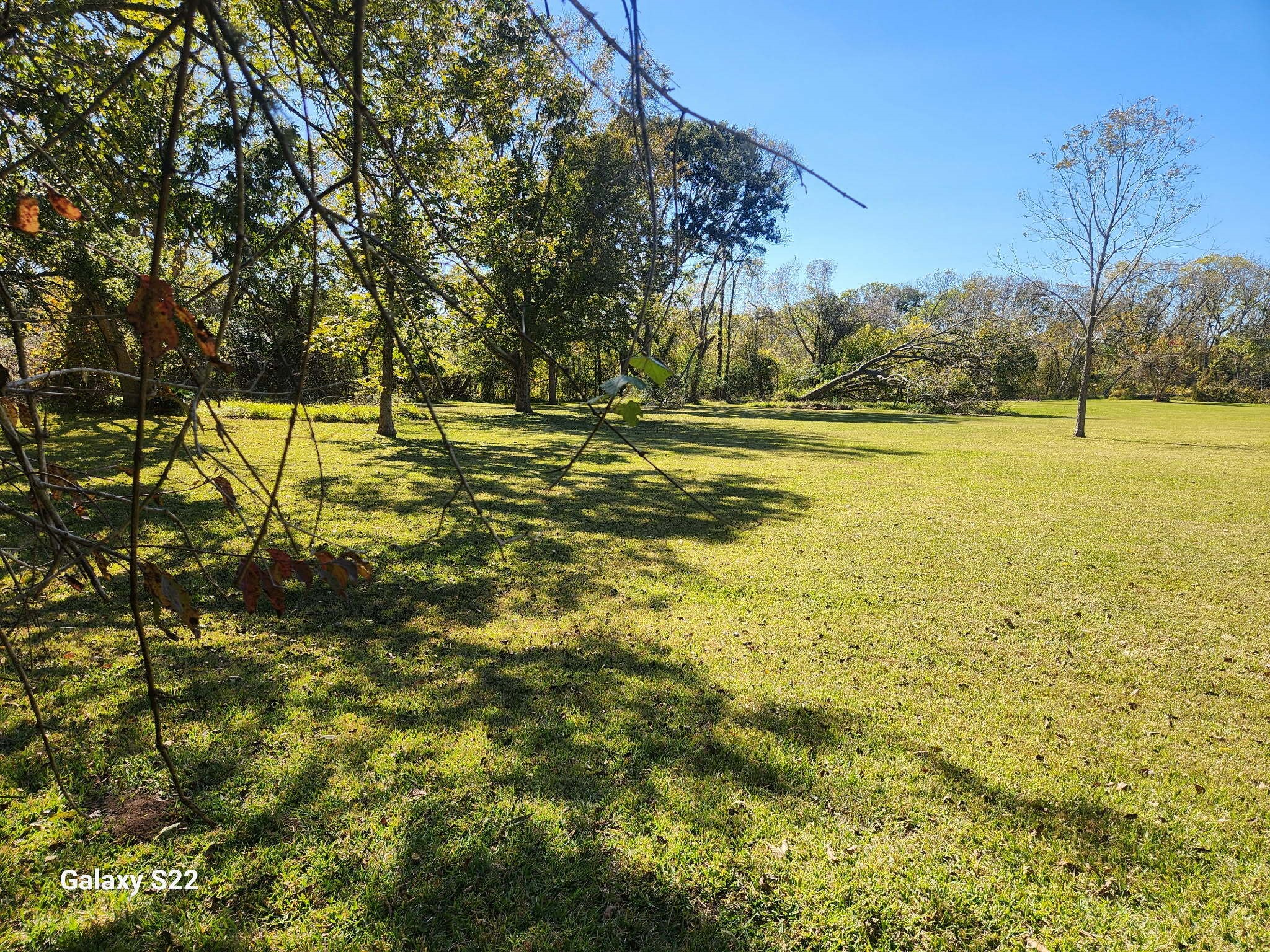 0 County Road 526 Rosharon, TX 77583 - Photo 6 of 7 a view of yard with swimming pool