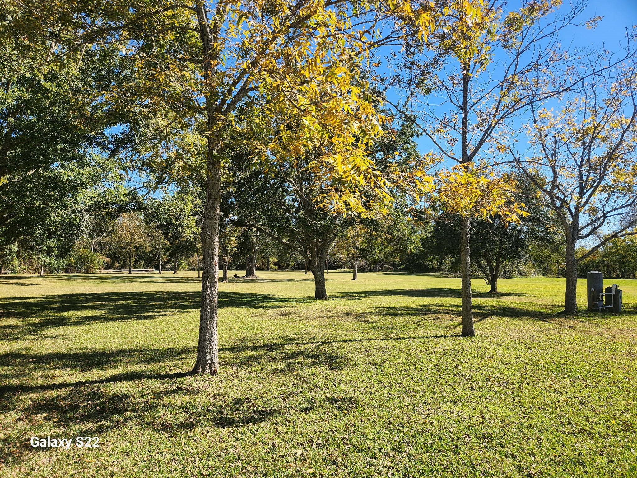 0 County Road 526 Rosharon, TX 77583 - Photo 7 of 7 a view of an outdoor space and trees