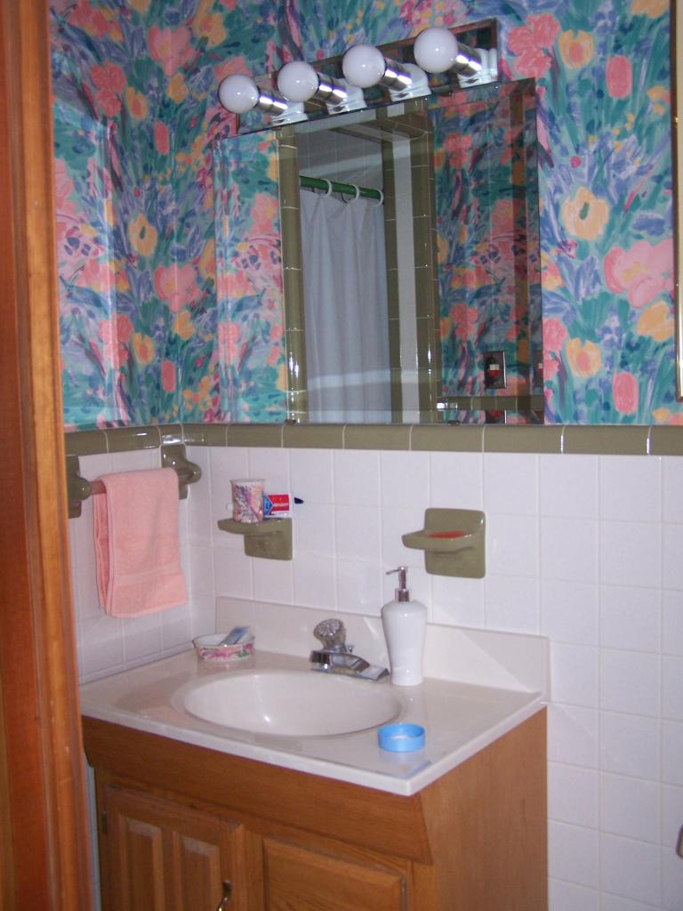 5704 Littleton Road Roanoke, VA 24012 - Photo 13 of 17 Bath 2