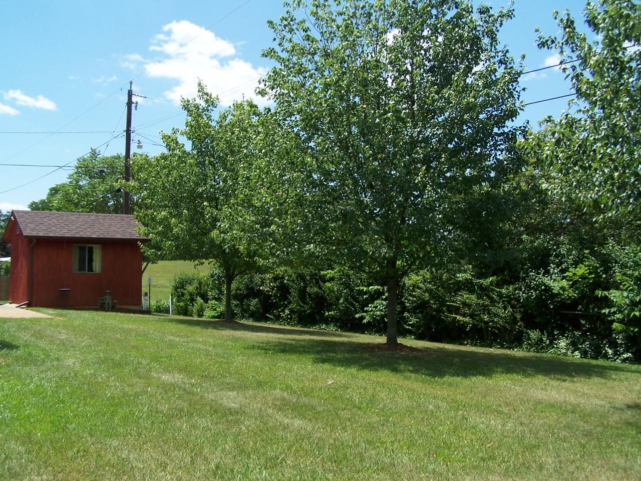5704 Littleton Road Roanoke, VA 24012 - Photo 5 of 17 Back Yard