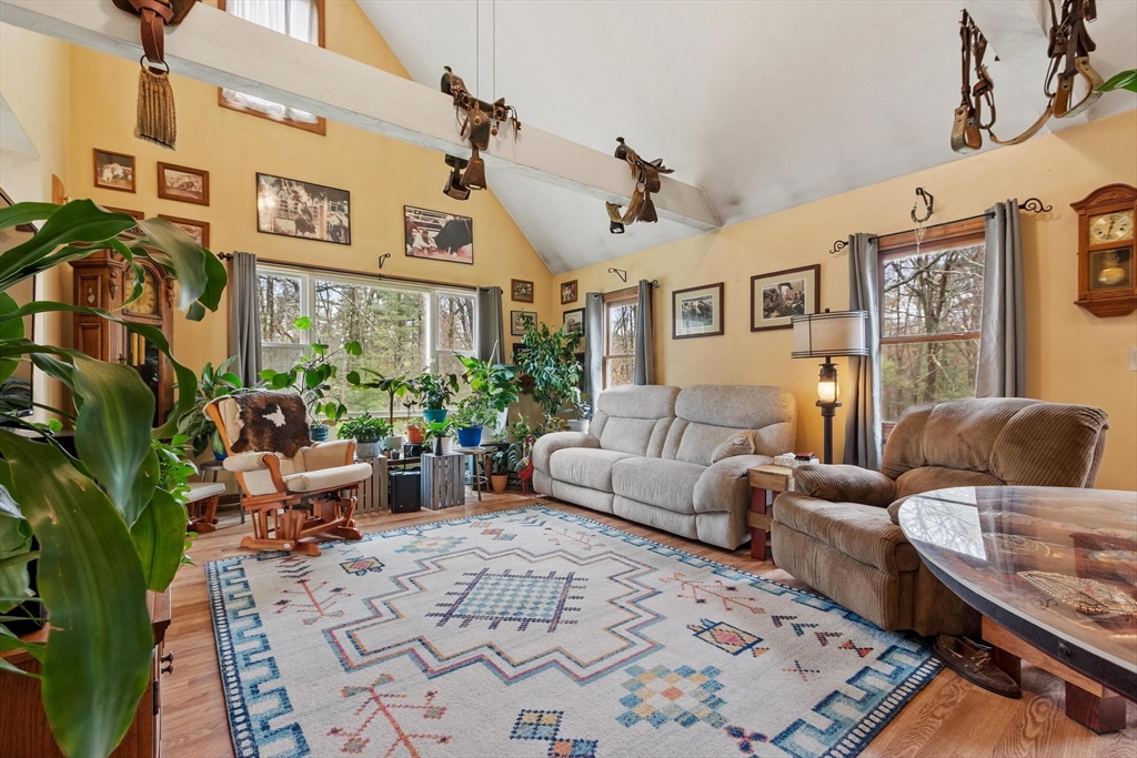 340 Ball Hill Road Princeton, MA 01541 - Photo 20 of 41 a living room with furniture and a potted plant