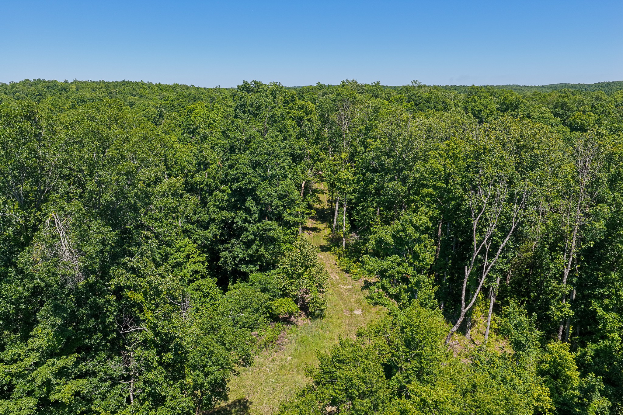 0 Mayberry Prong Road Linden, TN 37096 - Photo 18 of 24