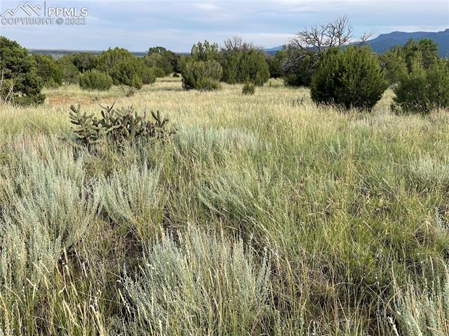 Lot #93 Rancho Verde Road Trinidad, CO 81082 - Photo 17 of 19 Gallery Image 17