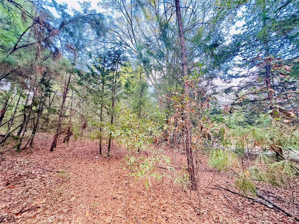 0 Apple Tree Road Gilmer, TX 75644 - Photo 14 of 34 Gallery Image 14