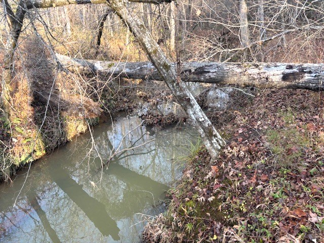- Chipley Road Greenwood, SC 29646 - Photo 22 of 34