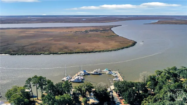 $600,000 | 4 East Back Street, Savannah, GA 31419