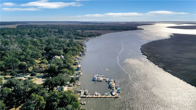 $600,000 | 4 East Back Street, Savannah, GA 31419