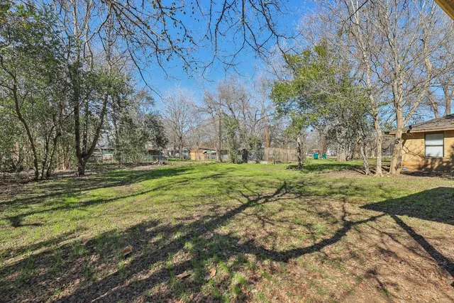 a view of a park with large trees