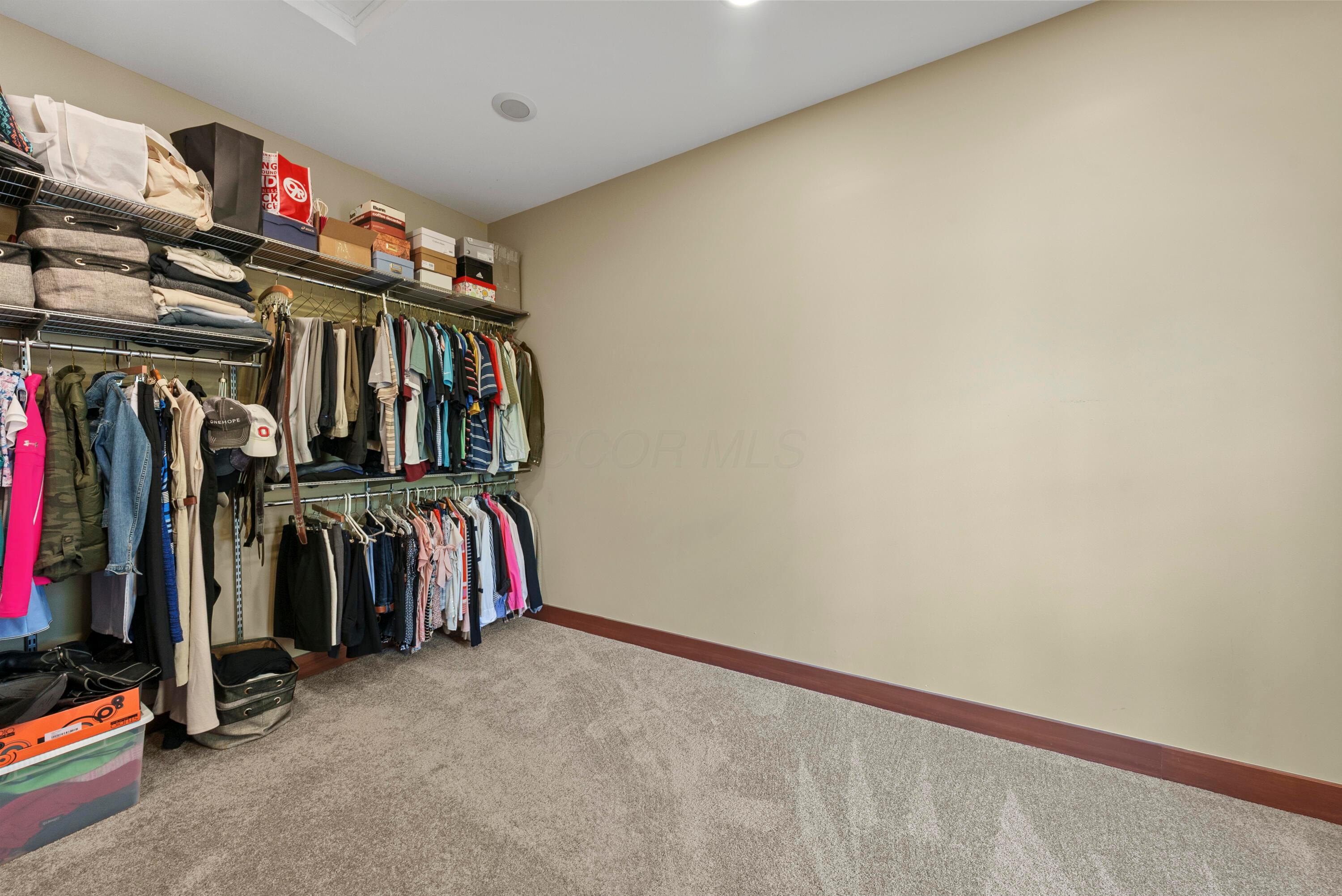11414 Trenton Road Galena, OH 43021 - Photo 29 of 79 Primary Closet