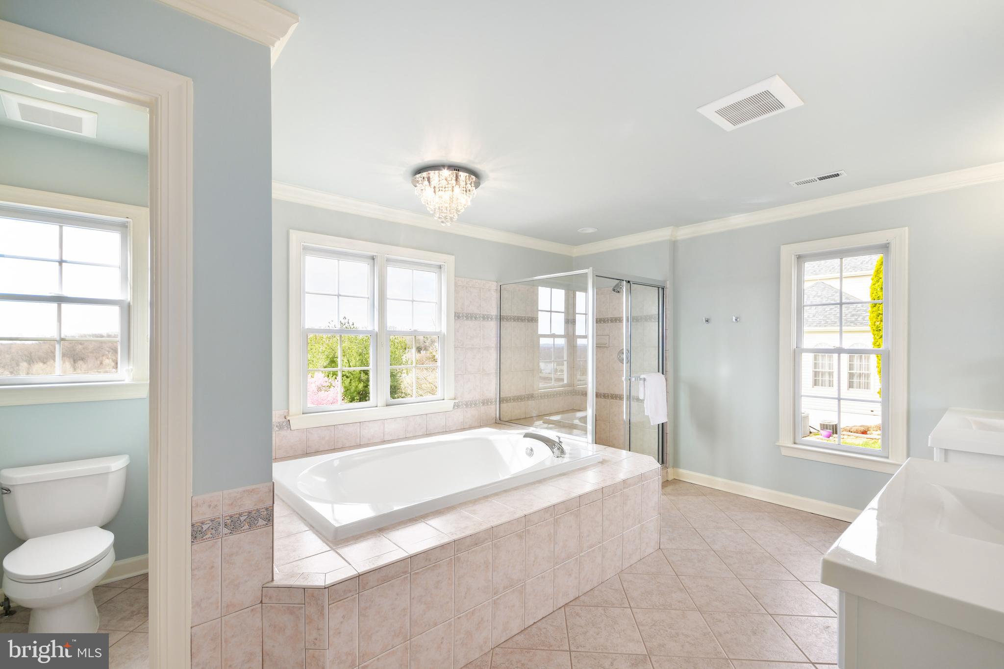 25122 Vista Ridge Road Laytonsville, MD 20882 - Photo 43 of 70 Primary bathroom