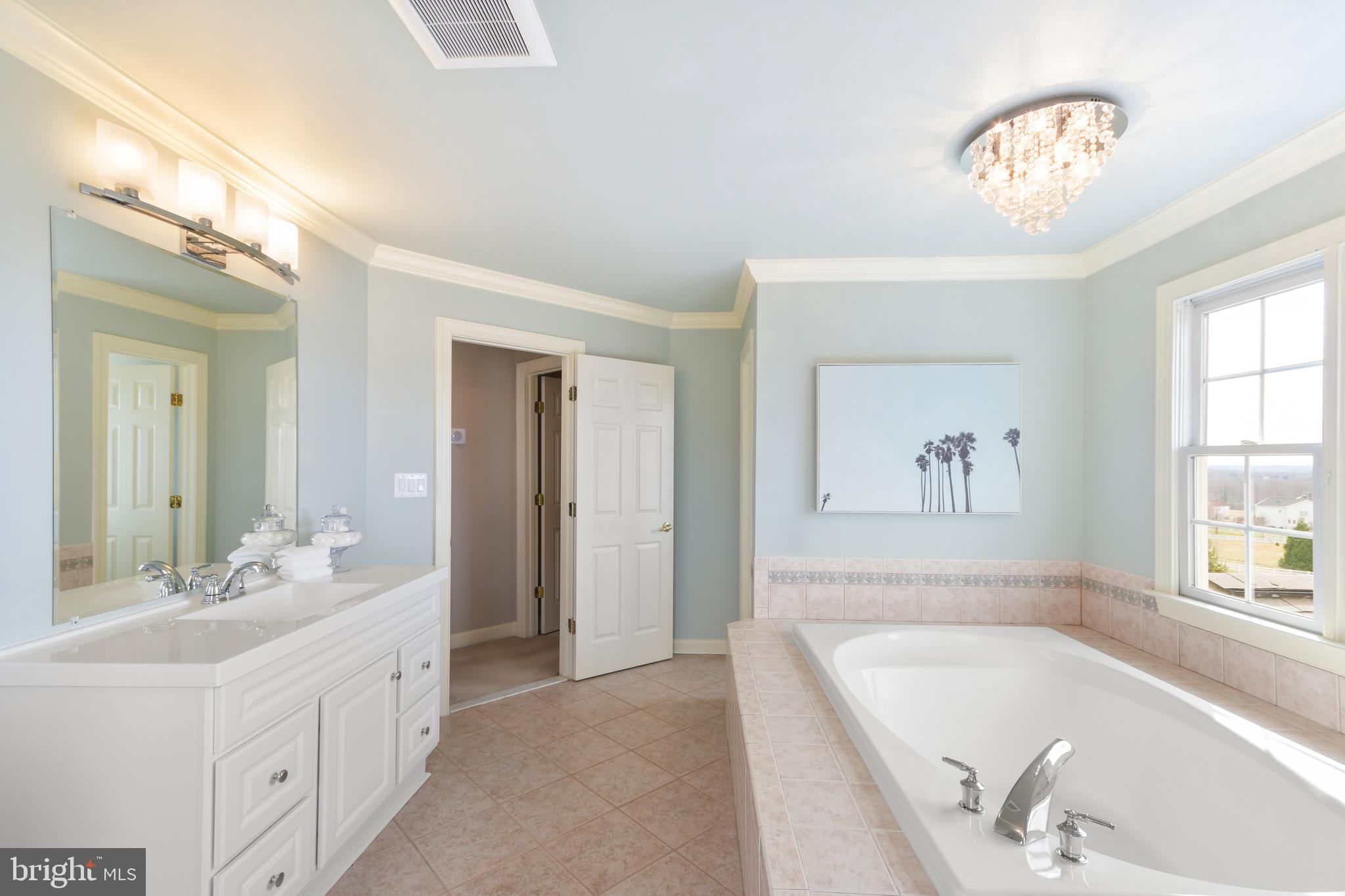 25122 Vista Ridge Road Laytonsville, MD 20882 - Photo 45 of 70 Primary bathroom