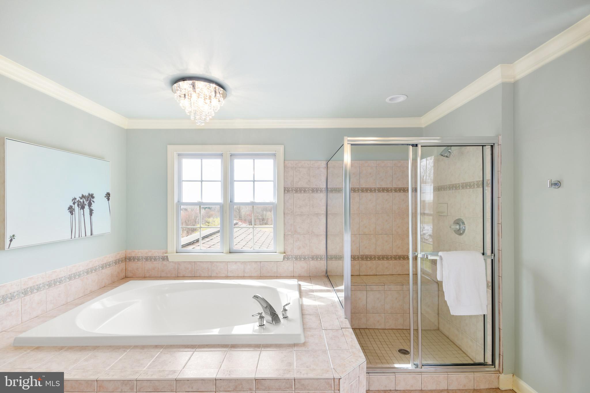 25122 Vista Ridge Road Laytonsville, MD 20882 - Photo 46 of 70 Primary bathroom