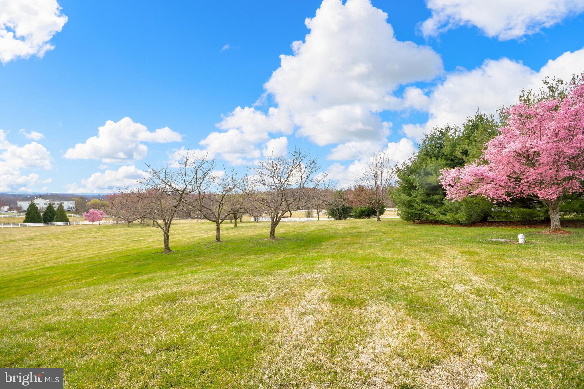 25122 Vista Ridge Road Laytonsville, MD 20882 - Photo 63 of 70