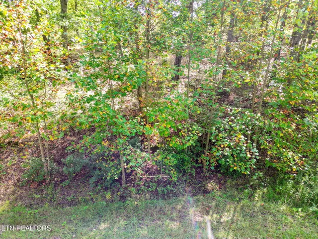 $115,000 | Lot 30 Mt Clouds Trail, Duff, TN 37729