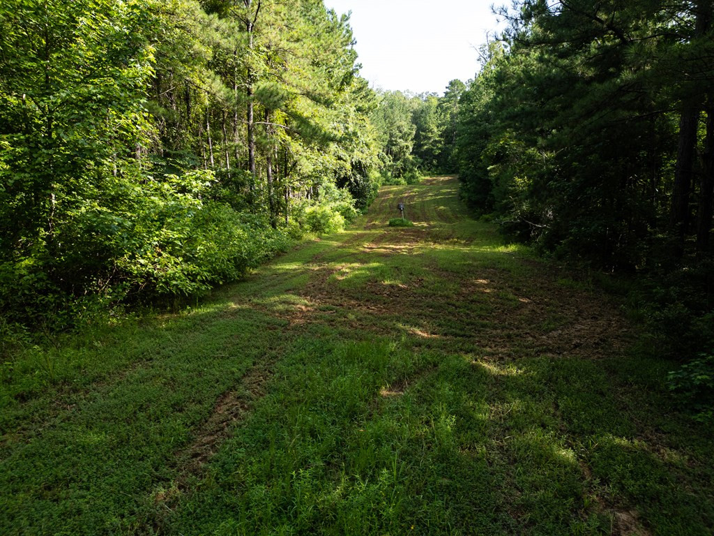 2898 Whetstone Road Woodville, MS 39669 - Photo 13 of 47 Photo 13