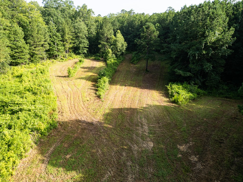 2898 Whetstone Road Woodville, MS 39669 - Photo 2 of 47 Photo 2