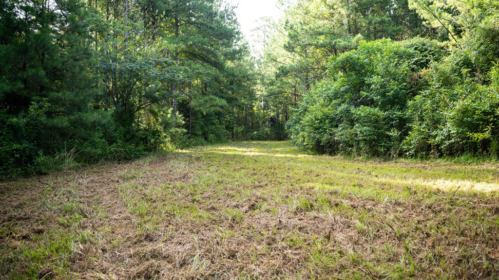 2898 Whetstone Road Woodville, MS 39669 - Photo 28 of 47 Photo 28