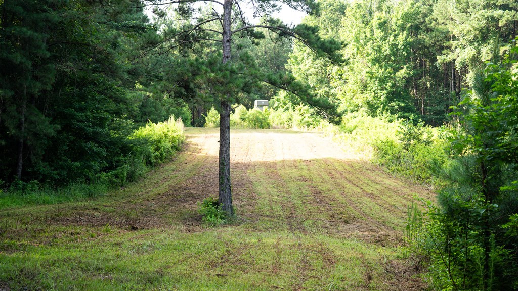2898 Whetstone Road Woodville, MS 39669 - Photo 31 of 47 Photo 31