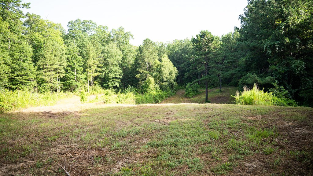 2898 Whetstone Road Woodville, MS 39669 - Photo 32 of 47 Photo 32
