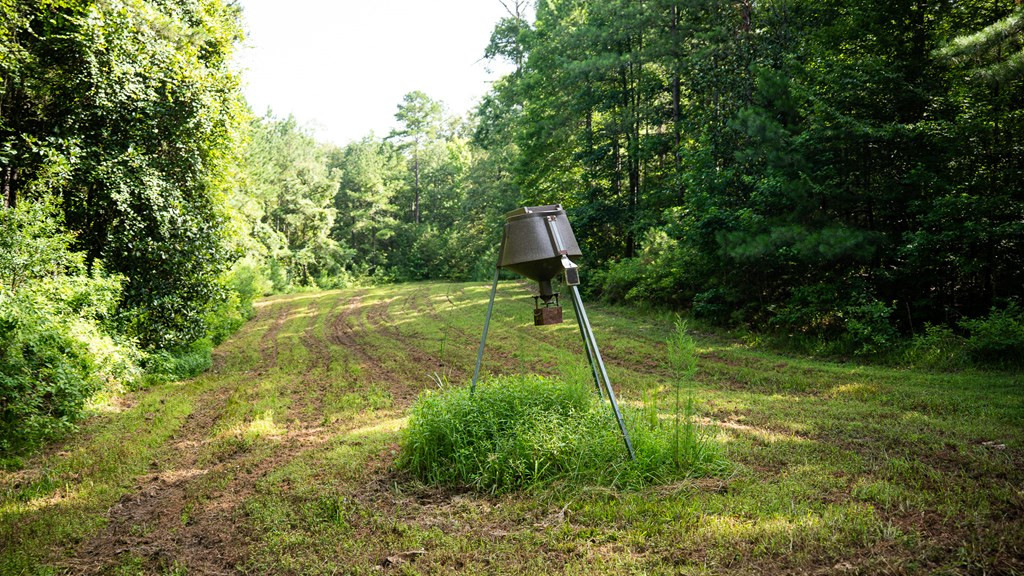 2898 Whetstone Road Woodville, MS 39669 - Photo 36 of 47 Photo 36