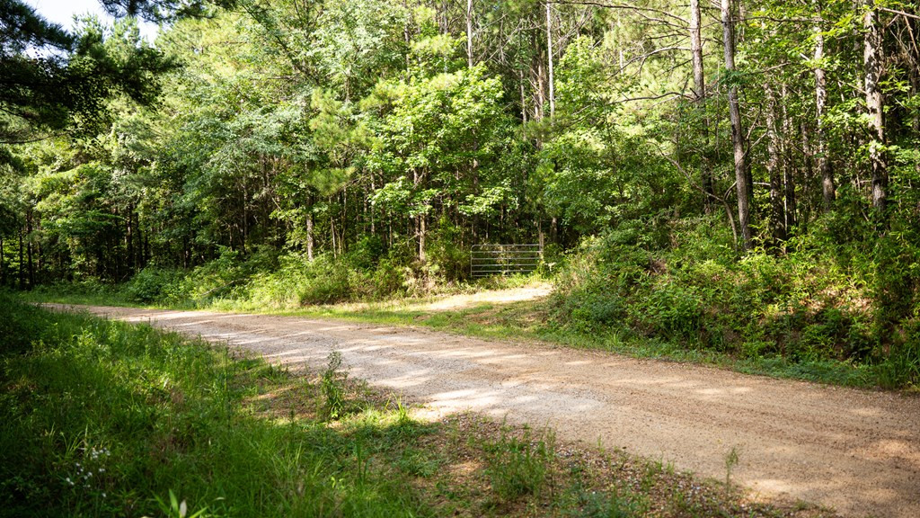 2898 Whetstone Road Woodville, MS 39669 - Photo 40 of 47 Photo 40