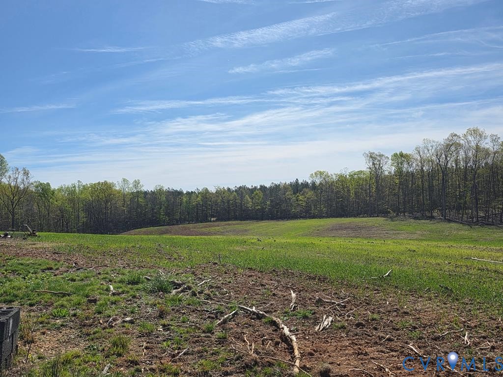 0 Farmville Road Meherrin, VA 23954 - Photo 1 of 9 a view of a field with an trees